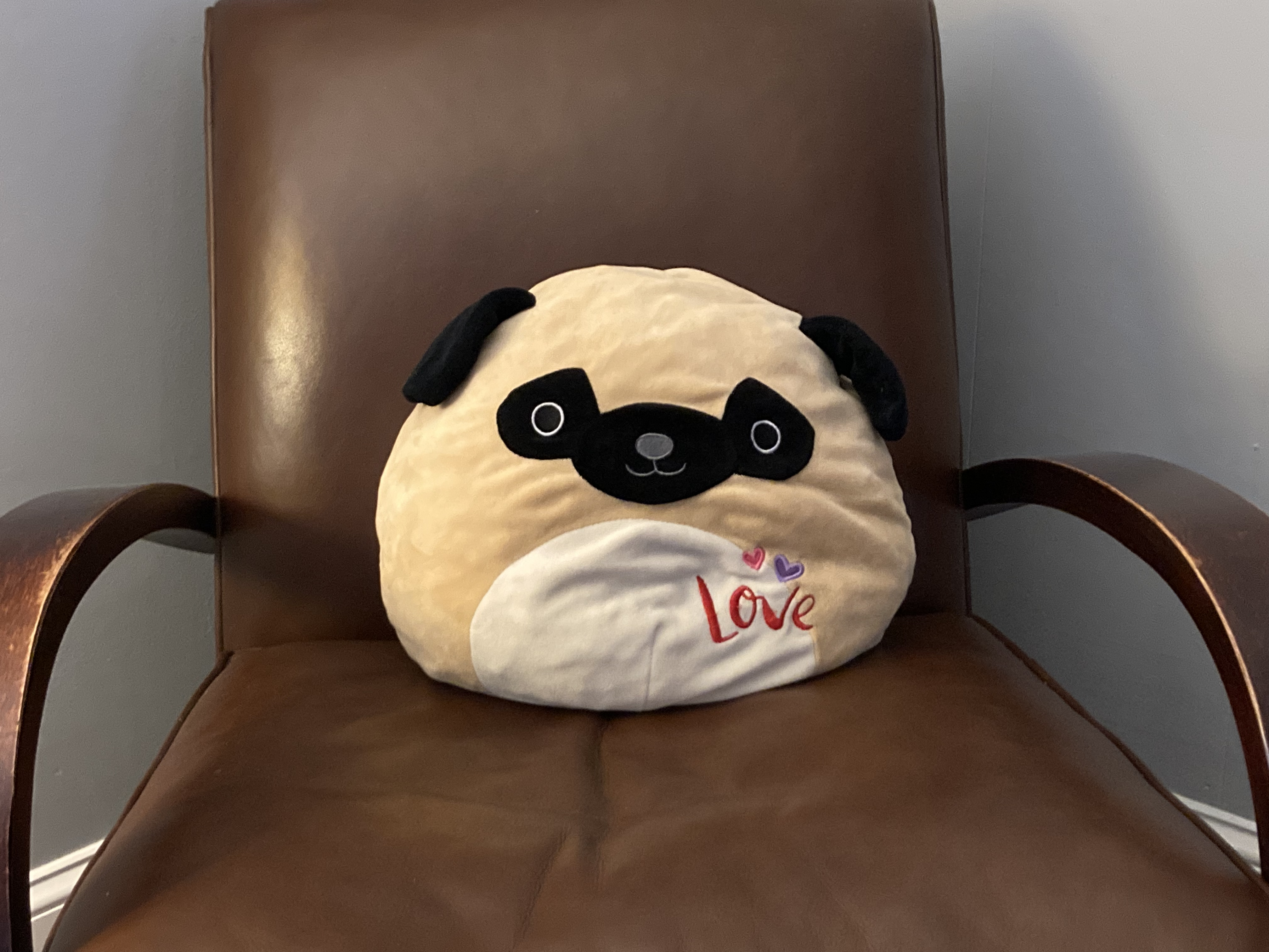 Cuddlyface real life inspiration